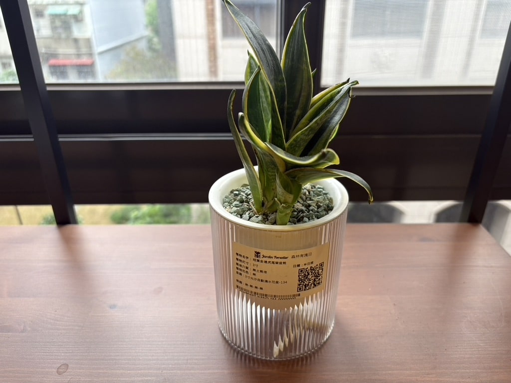 ▲ 20251221 好像沒那麼好看了